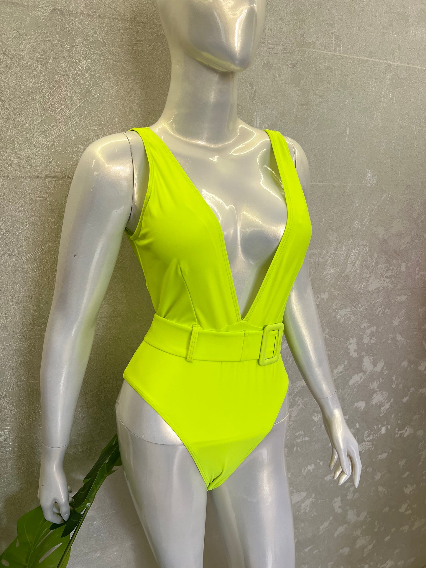 PLUNGE NECK SWIMSUIT