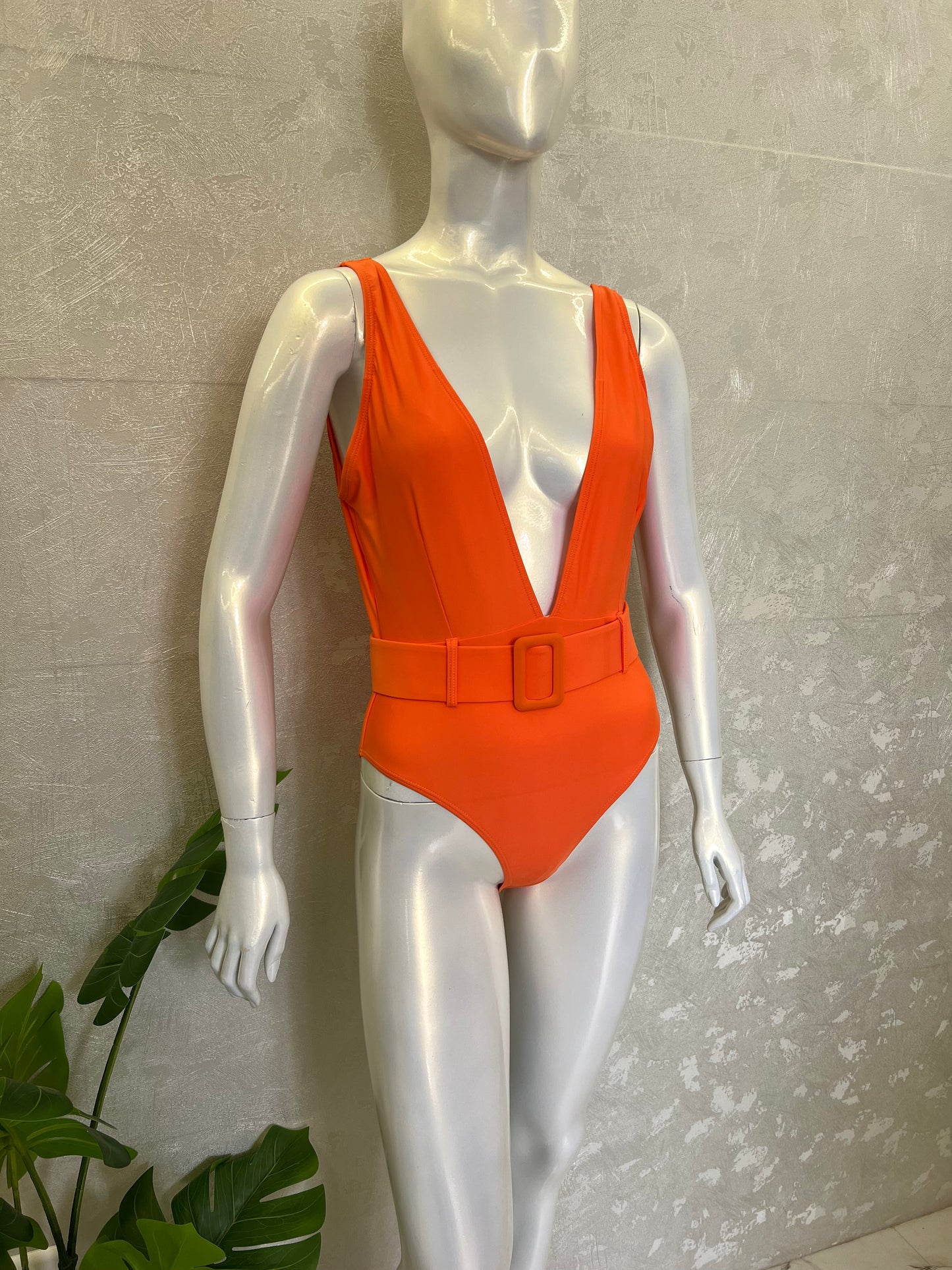 PLUNGE NECK SWIMSUIT