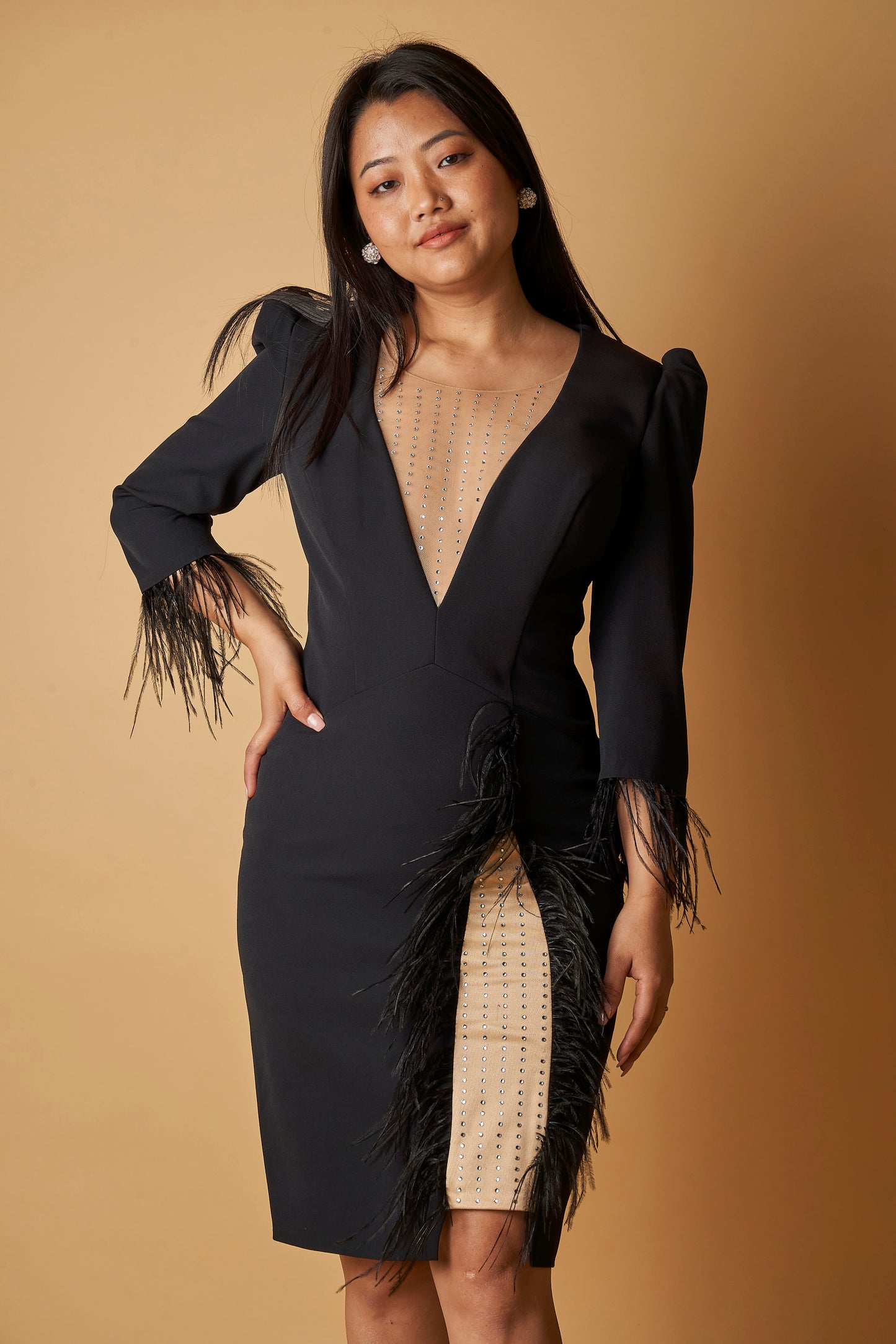 EMBELLISHED FEATHER DRESS