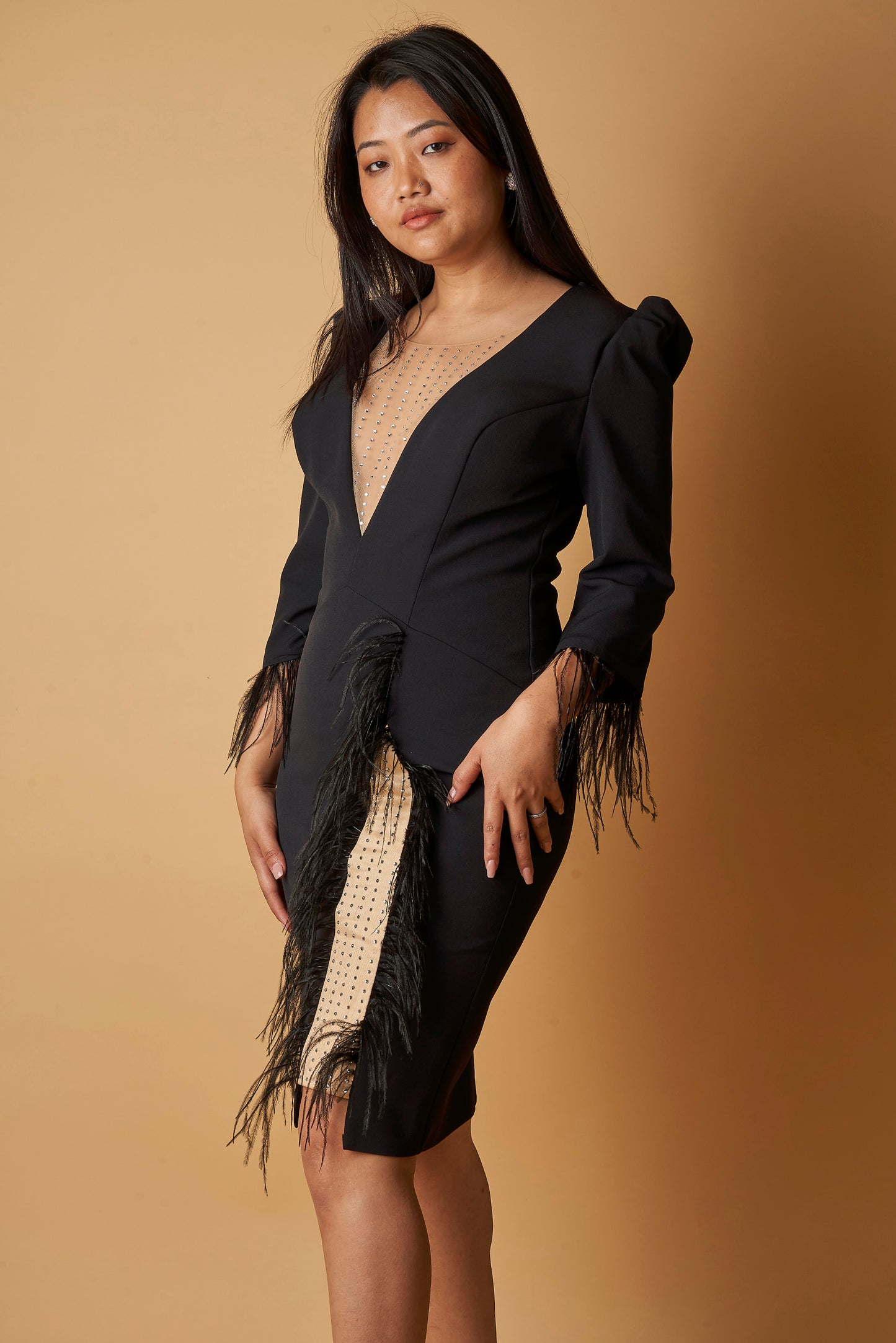 EMBELLISHED FEATHER DRESS